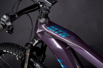 Haibike-MY22-Detail-Top-Tube-AllMtn-CF-11